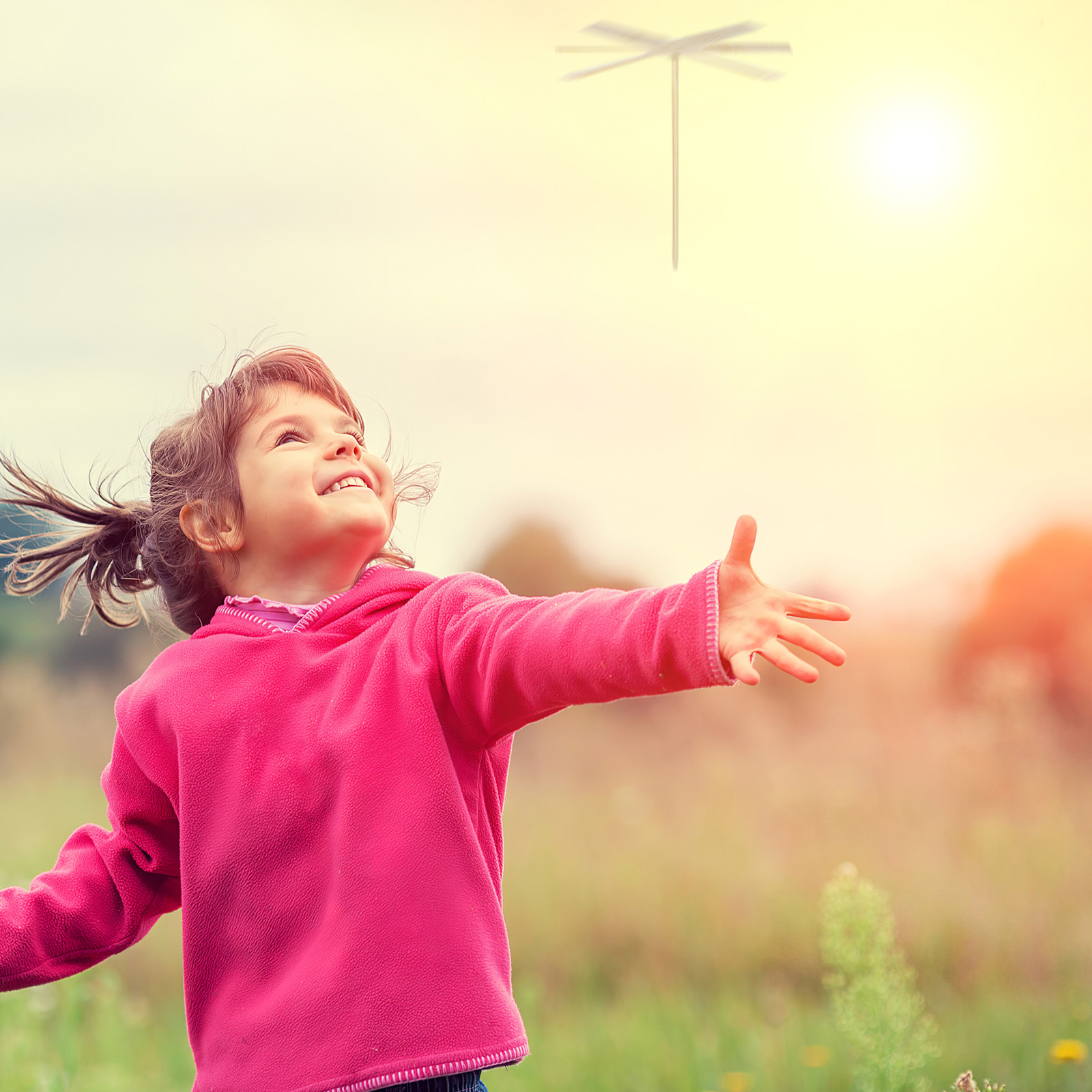 10 peças: libélula de equilíbr - Kids Education Design avaliação e preço
