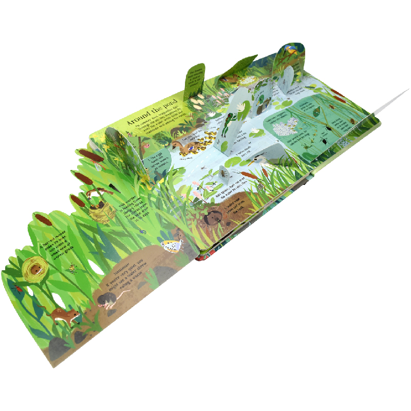 Inglês montessori 3d usborne o - Kids Education Board avaliação e preço